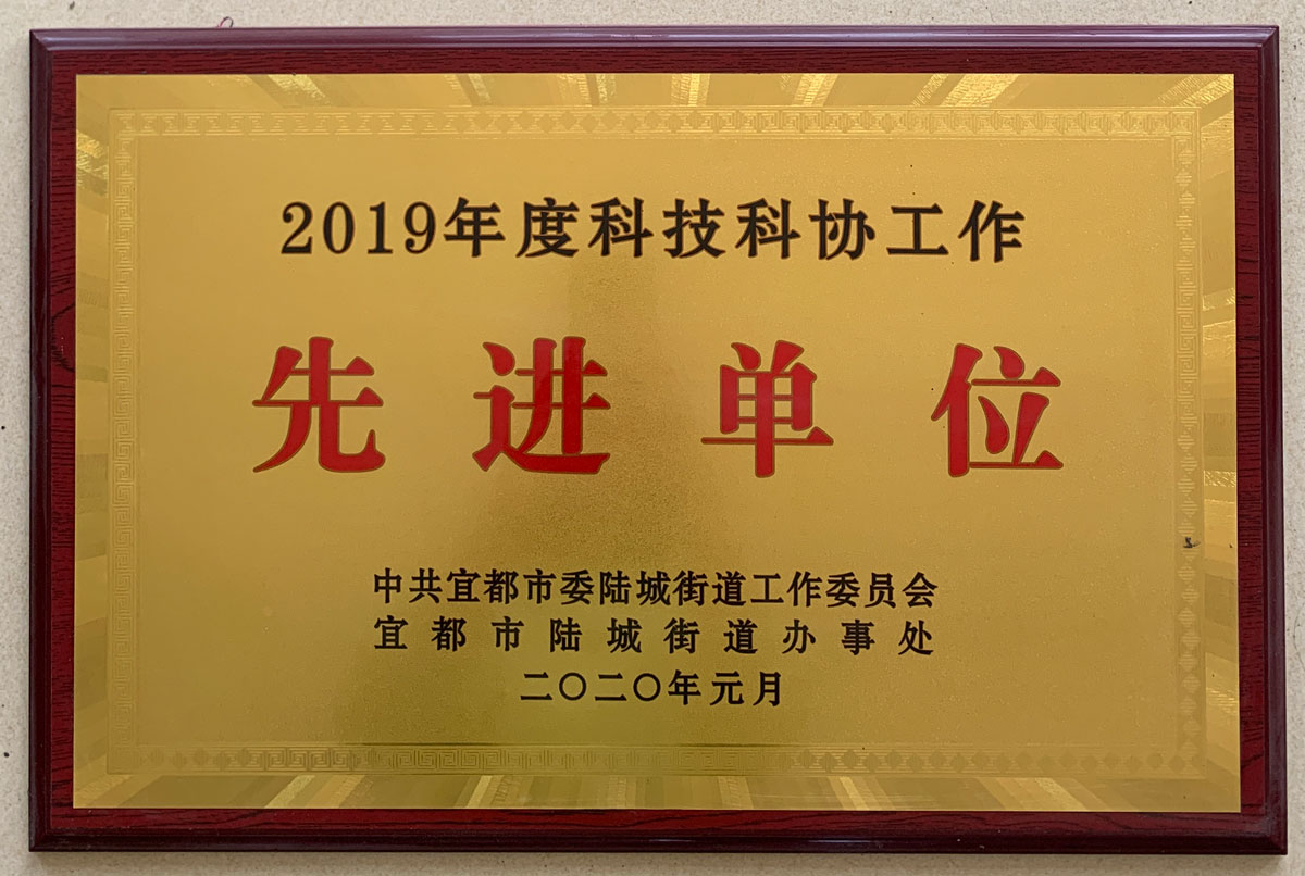2019科技科协先进单位.jpg